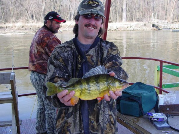 big-perch-2