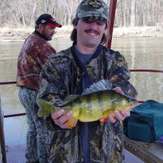 big-perch-2
