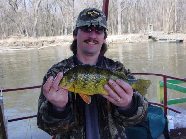 big-perch