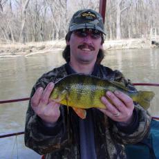 big-perch
