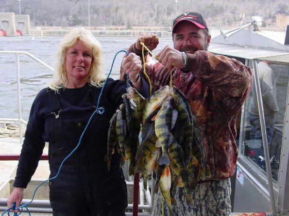 sheri-perch-stringer