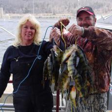sheri-perch-stringer