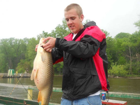 carp