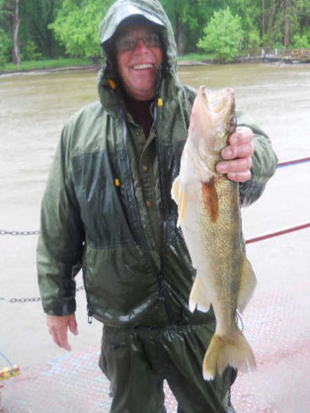fran-walleye