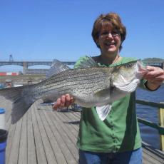 huge-whitebass-with-karen
