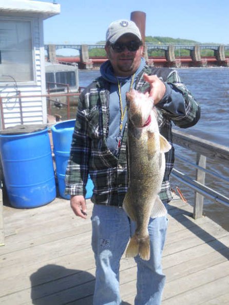 large-walleye
