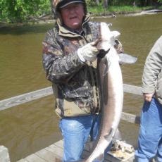 mel-sturgeon