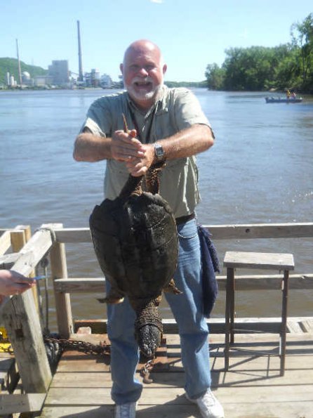 snapping-turtle