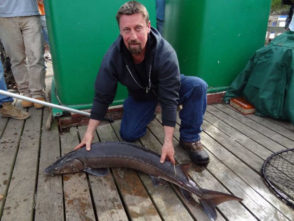 big-sturgeon2