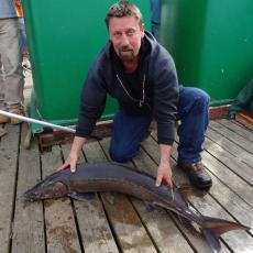 big-sturgeon2