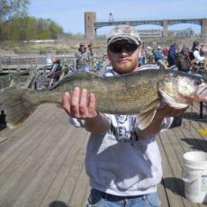 big-walleye