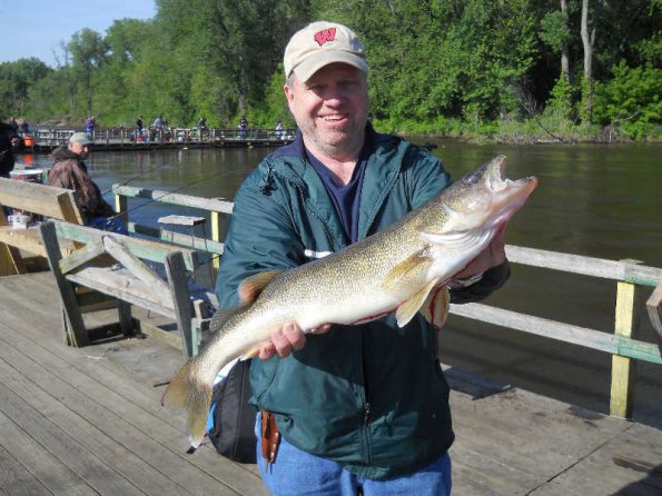 nice-walleye